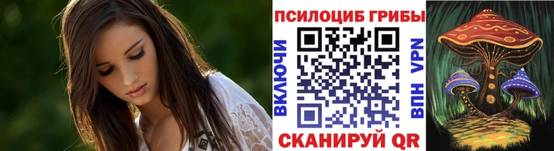 даркнет формула  OMG ТОР  Псилоцибиновые грибы Psilocybe  Новый Оскол  купить  